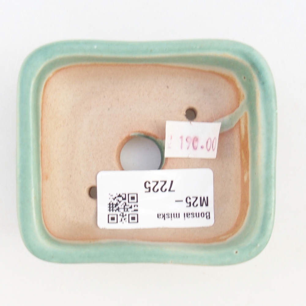 Cuenco bonsái de cerámica 8 x 7 x 3,5 cm, verde