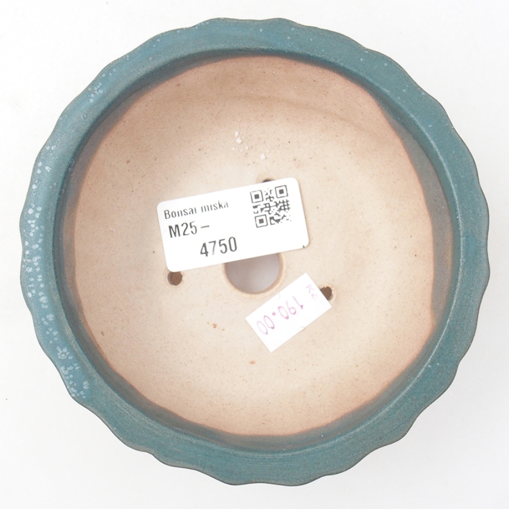 Cuenco bonsái de cerámica 11 x 11 x 5 cm, color azul