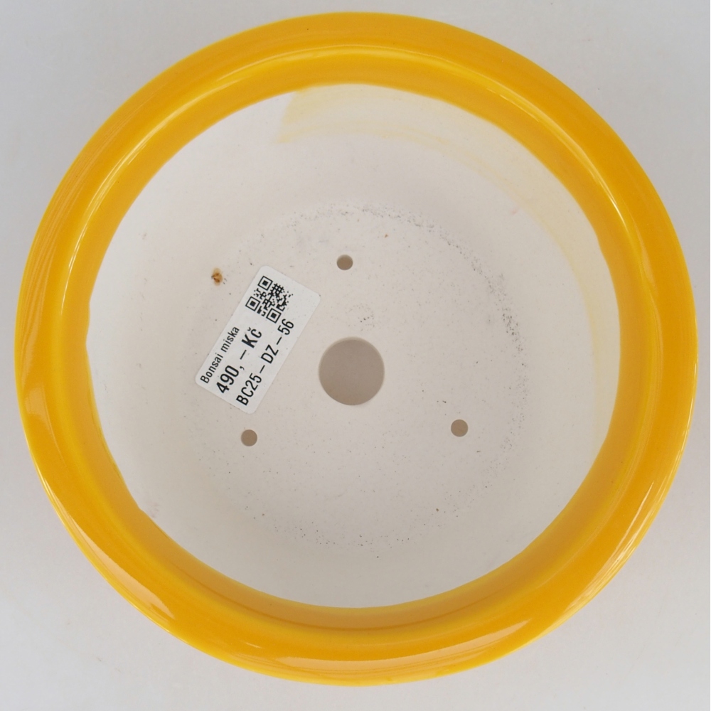 Cuenco bonsái de cerámica 16 x 16 x 8,5 cm, amarillo