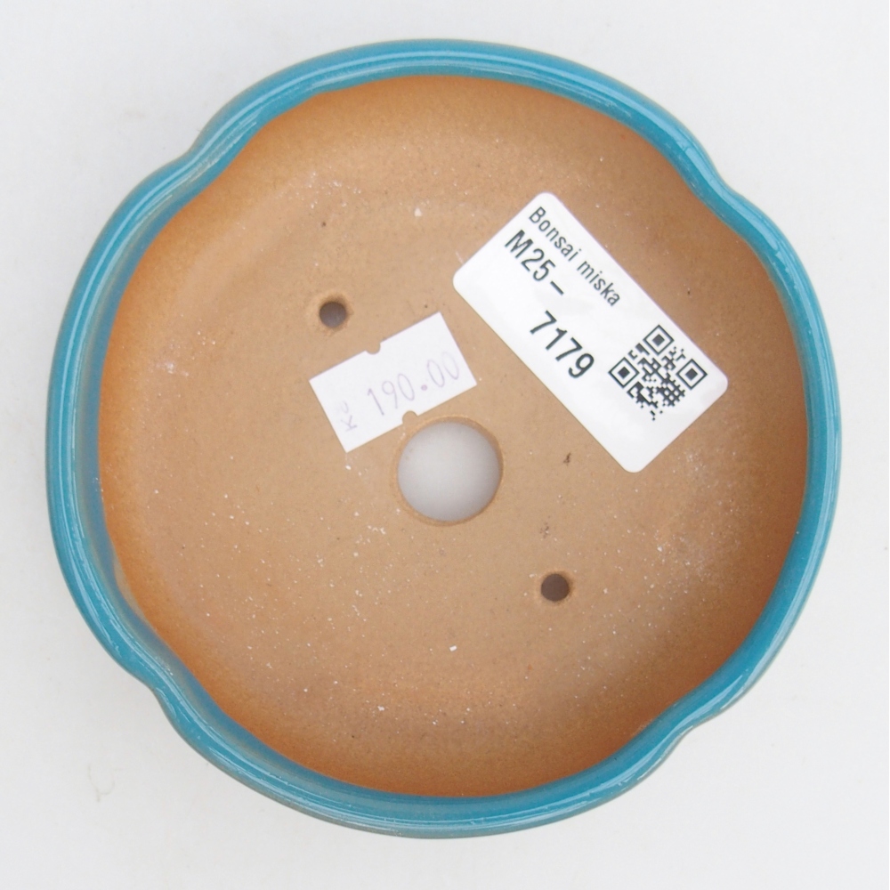 Cuenco bonsái de cerámica 11 x 11 x 3 cm, color azul