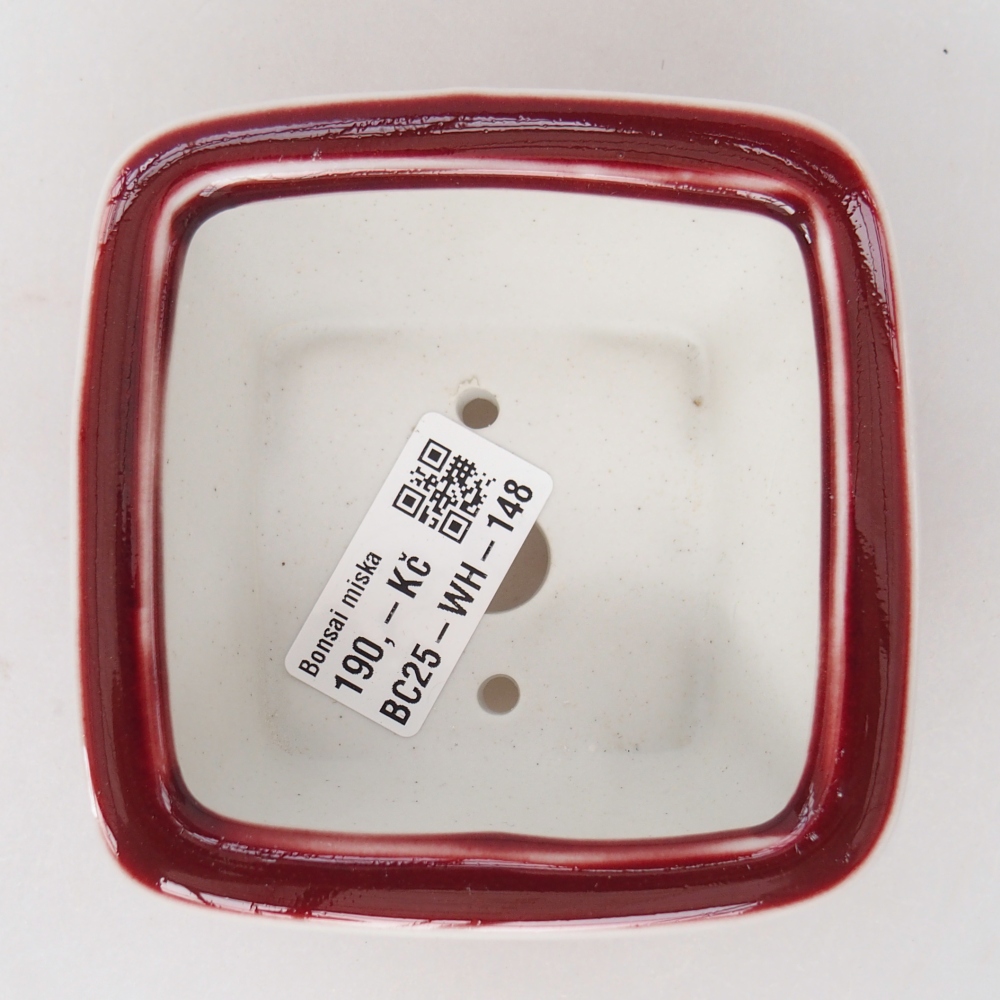 Cuenco bonsái de cerámica 9,5 x 9,5 x 5 cm, color rojo
