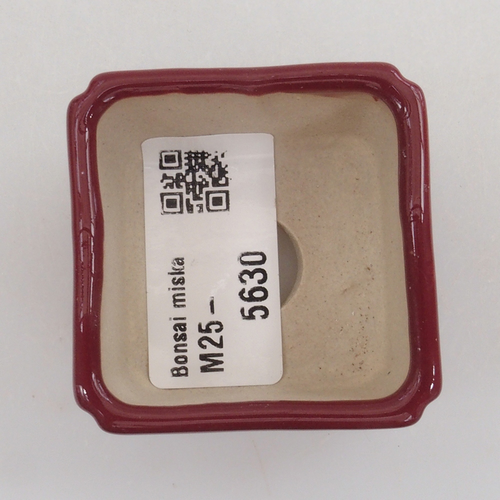 Cuenco mini bonsái 4,5 x 4,5 x 3 cm, burdeos