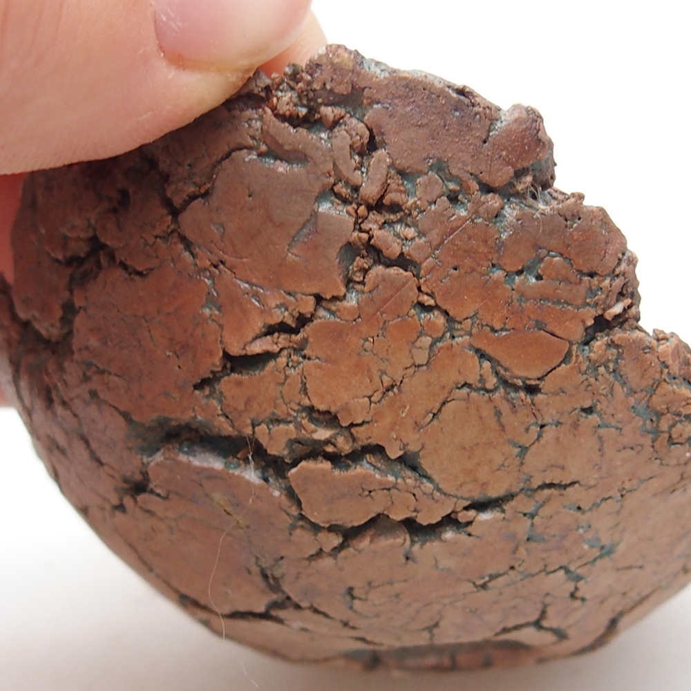 Concha de cerámica 7,5 x 7 x 4 cm , color verde