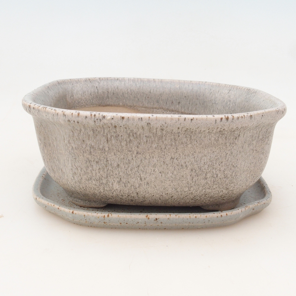 Bonsai cuenco + platillo H32 - beige