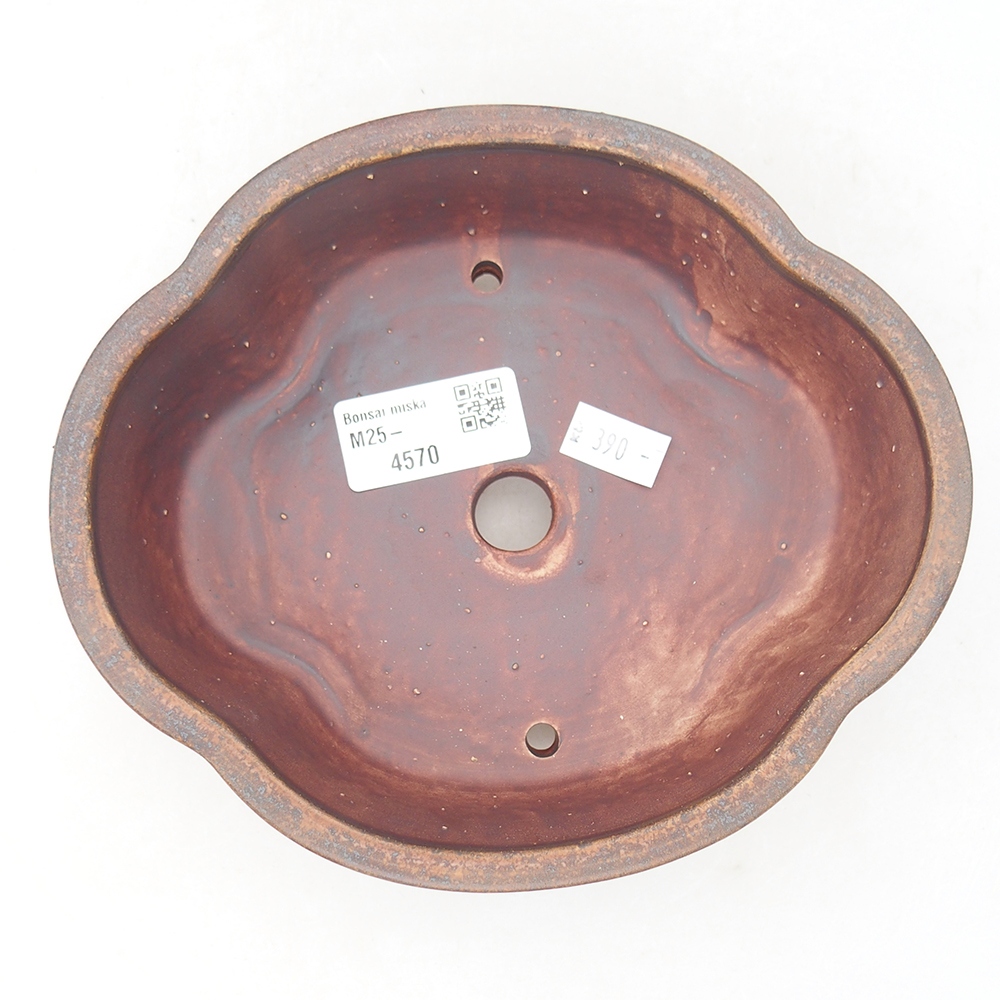 Cuenco bonsái de cerámica 17 x 15,5 x 5,5 cm, marrón