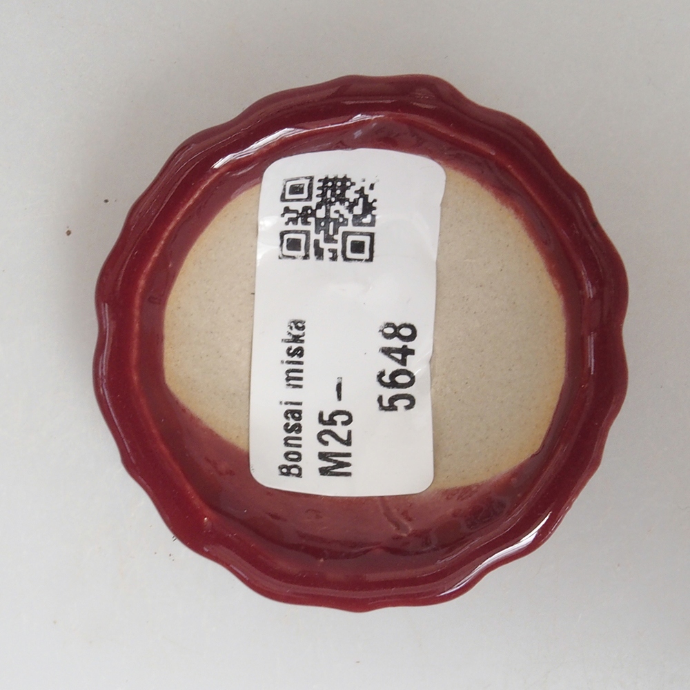 Mini cuenco bonsái 5 x 5 x 1,5 cm, color burdeos