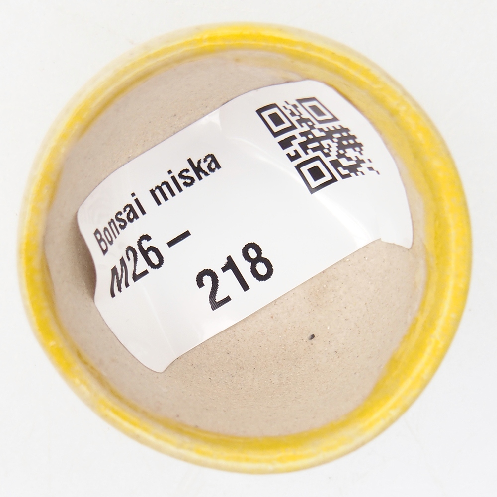 Cuenco mini bonsái 4 x 4 x 2,5 cm, amarillo