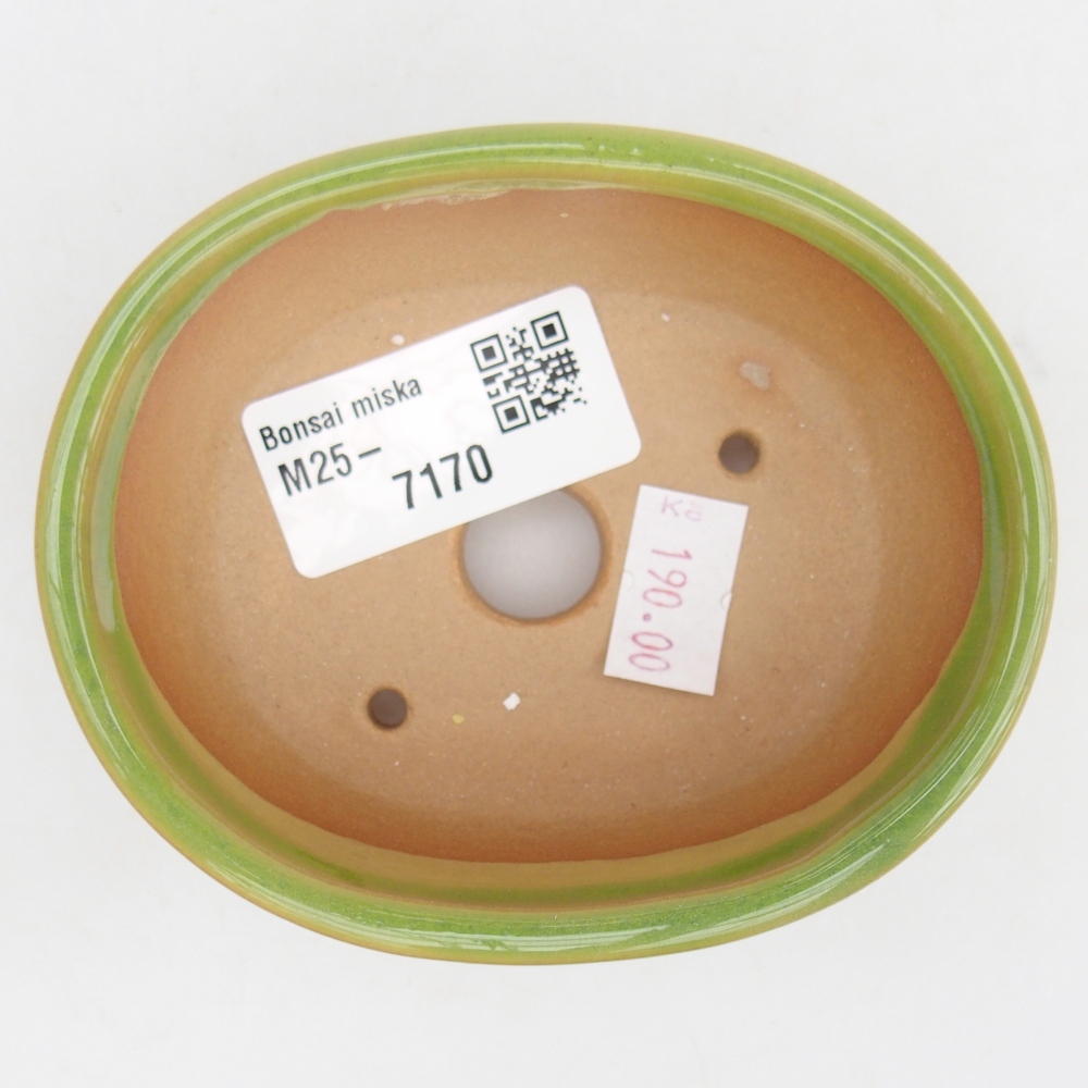 Cuenco bonsái de cerámica 9,5 x 7,5 x 3,5 cm, verde
