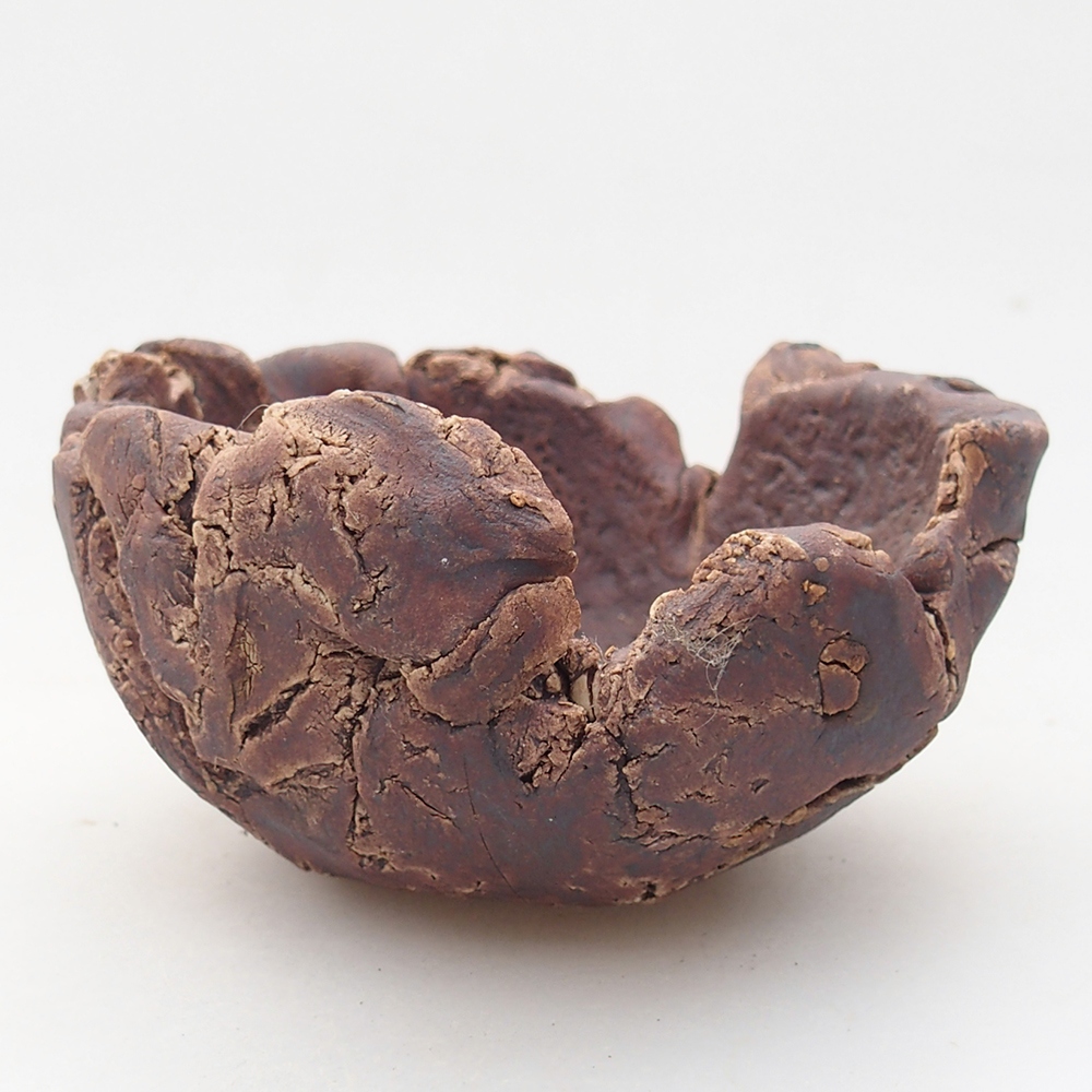 Concha de cerámica 10 x 9 x 5,5 cm , color marrón