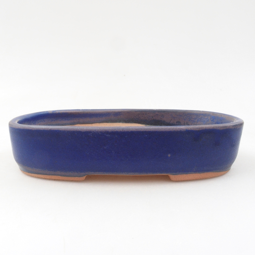 Cuenco bonsái de cerámica 16 x 11 x 3,5 cm, color azul