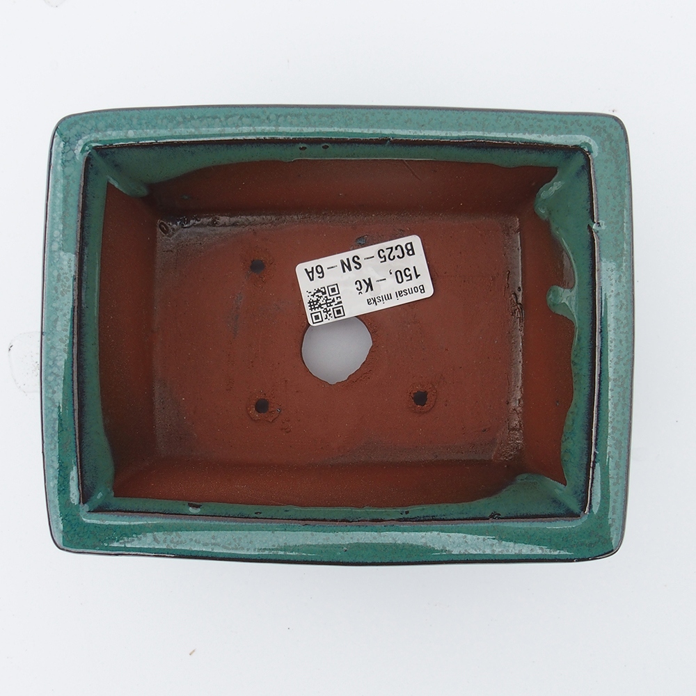 Bol 16 x 12,5 x 6,5 cm verde