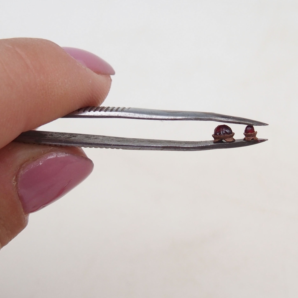 Suiseki - Piedra con DAI (base de madera)