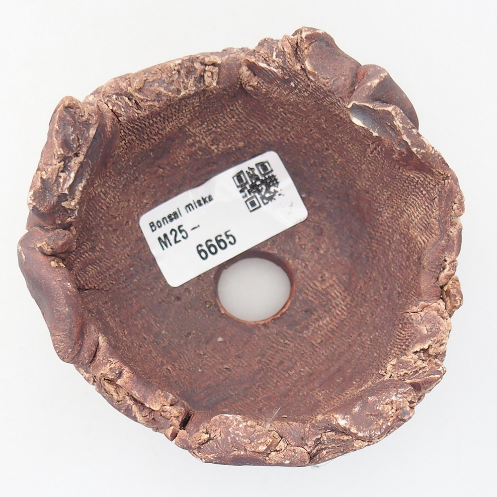 Concha de cerámica 9,5 x 9 x 7 cm , color marrón