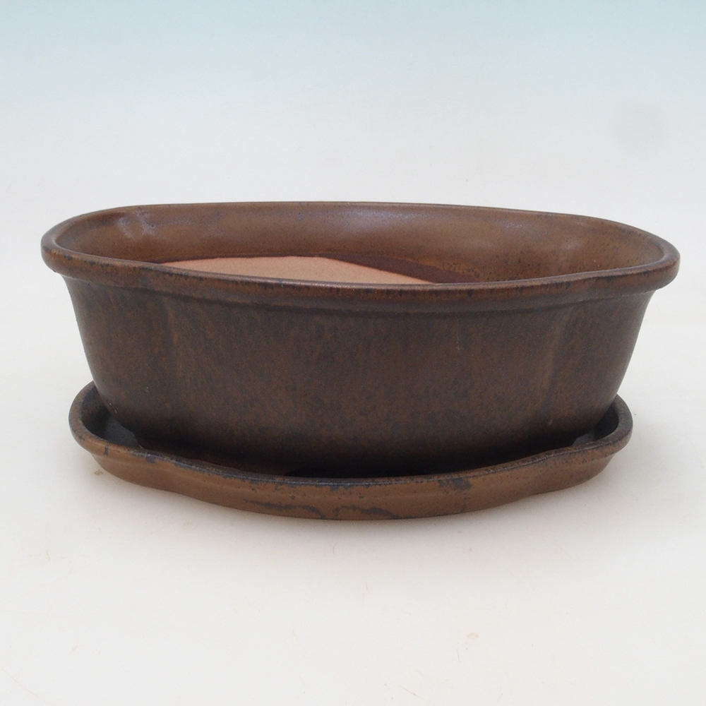 Bonsai cuenco + platillo H75 - marrón