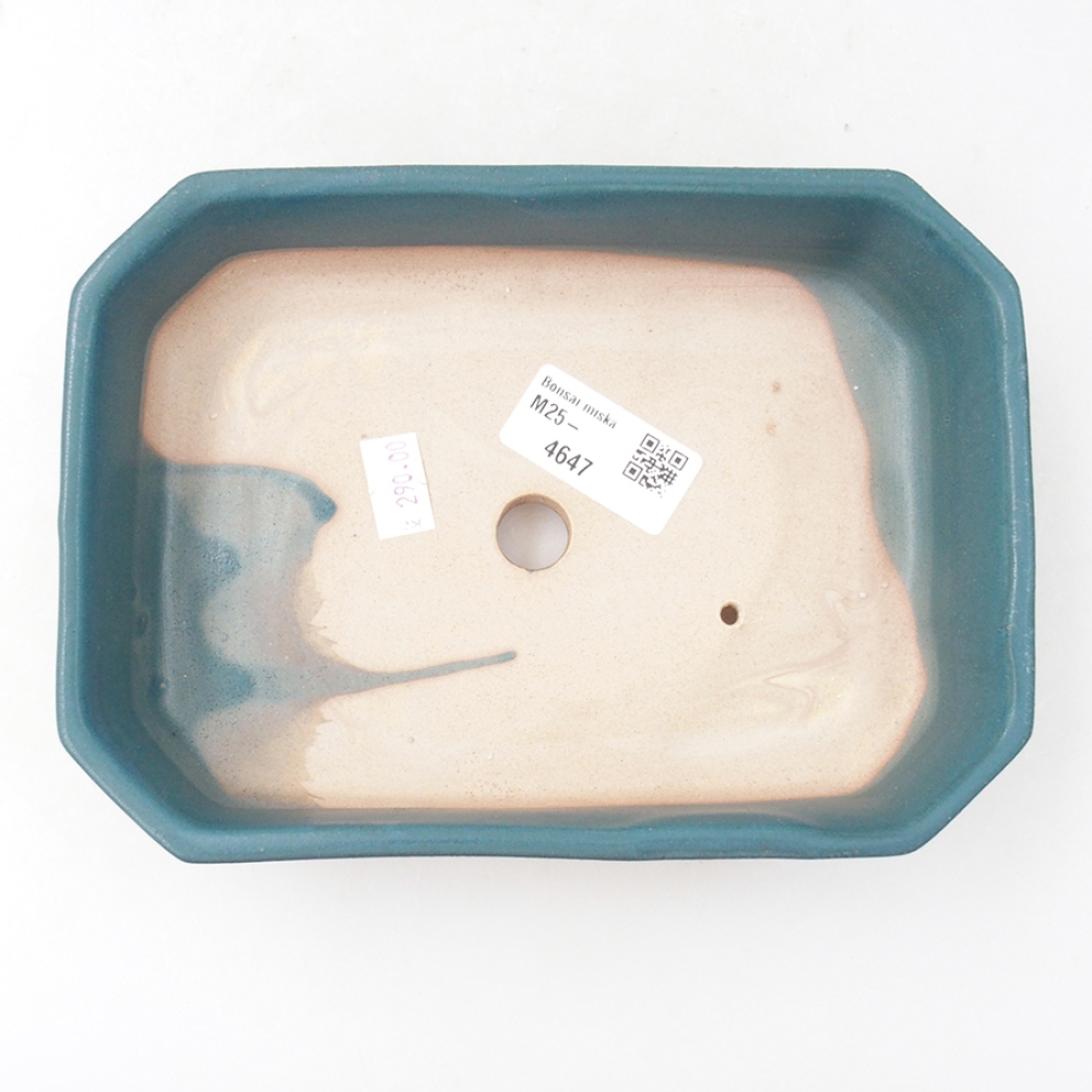 Cuenco bonsái de cerámica 19 x 13,5 x 4 cm, color azul