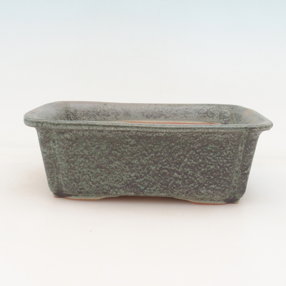 Cuenco para bonsái H50 - 17 x 12,5 x 5,5 cm.