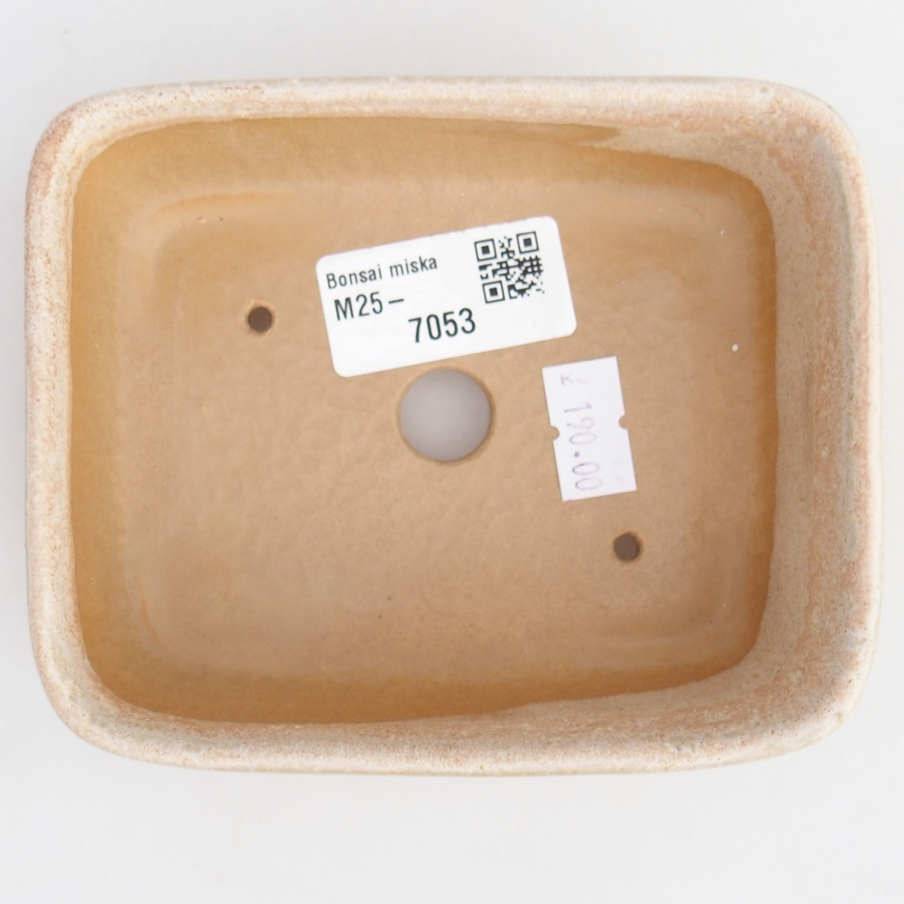 Cuenco bonsái de cerámica 12,5 x 9,5 x 3,5 cm, color beige