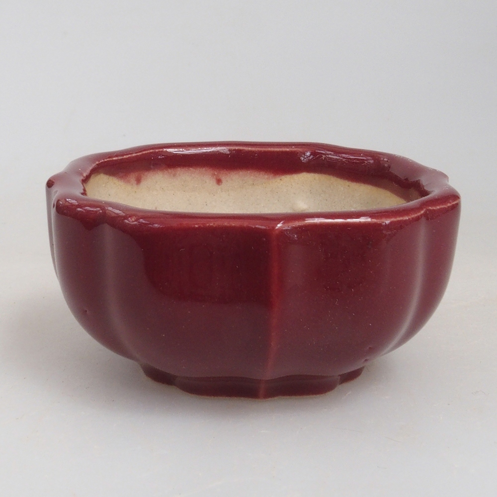 Mini cuenco bonsái 5,5 x 5,5 x 2,5 cm, burdeos