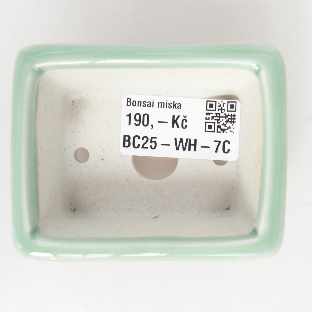 Cuenco mini bonsái 8 x 6 x 3 cm, verde