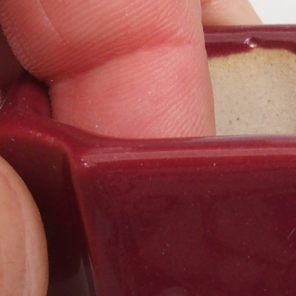 Cuenco mini bonsái 4 x 4 x 4 cm, burdeos