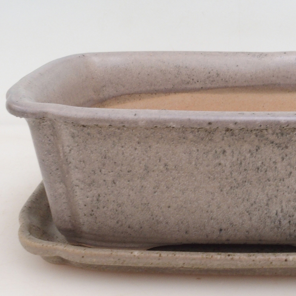 Bonsai cuenco + platillo H50 - beige