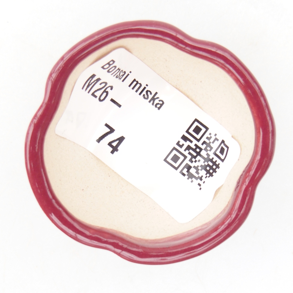 Cuenco mini bonsái 4 x 4 x 2 cm, burdeos