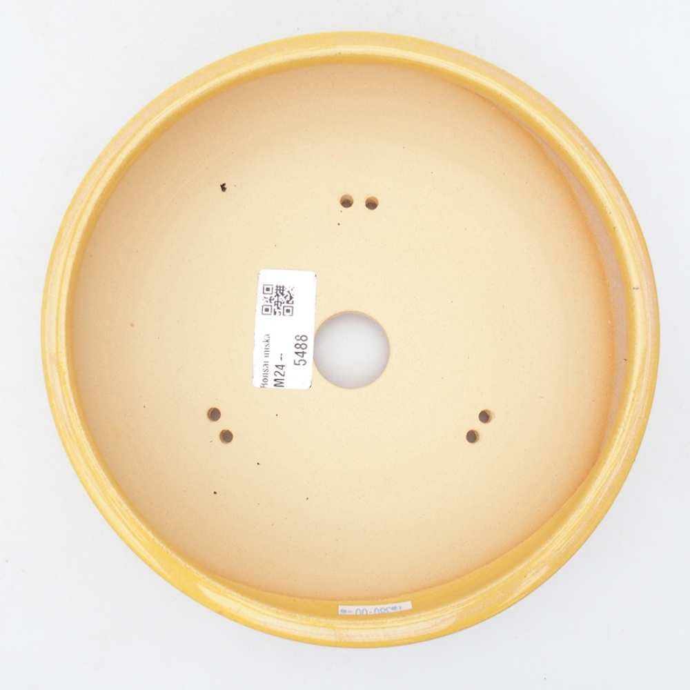 Cuenco bonsái de cerámica 18,5 x 18,5 x 6 cm, amarillo