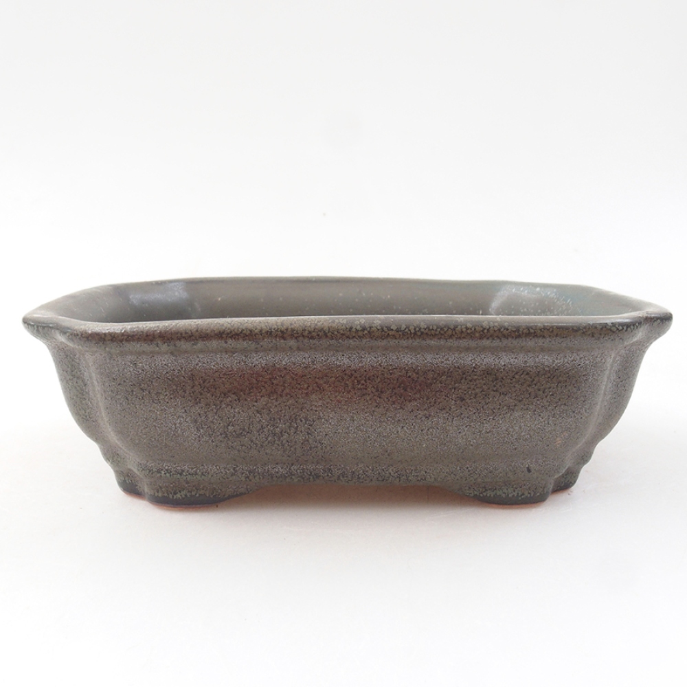 Cuenco bonsái de cerámica 16 x 12 x 5 cm, gris