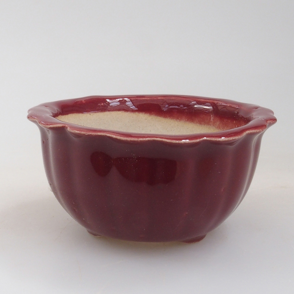 Cuenco mini bonsái 6,5 x 6,5 x 3,5 cm, burdeos