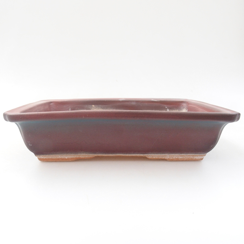 Cuenco bonsái de cerámica 17,5 x 13 x 4 cm, rosa