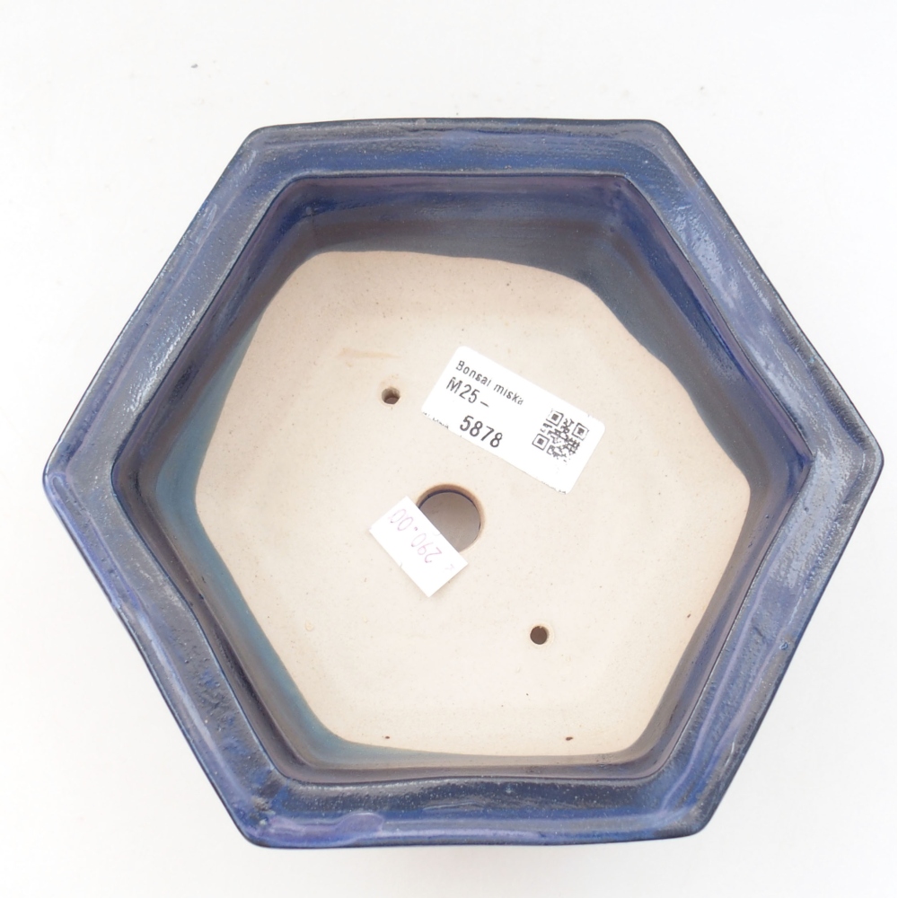 Cuenco bonsái de cerámica 22 x 17 x 5 cm, verde