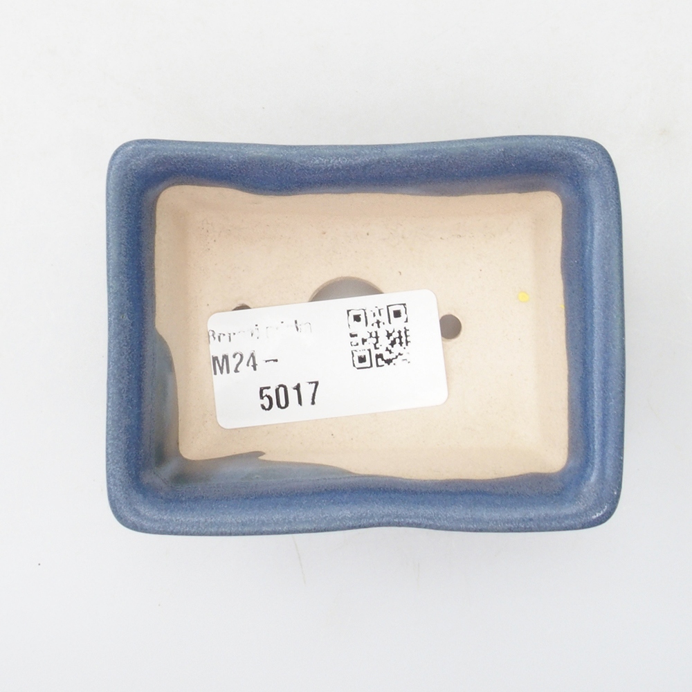 Mini cuenco bonsái 8 x 6 x 3 cm, azul