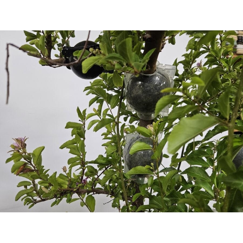 Bola ardiente 8 cm transparente 1 ud.