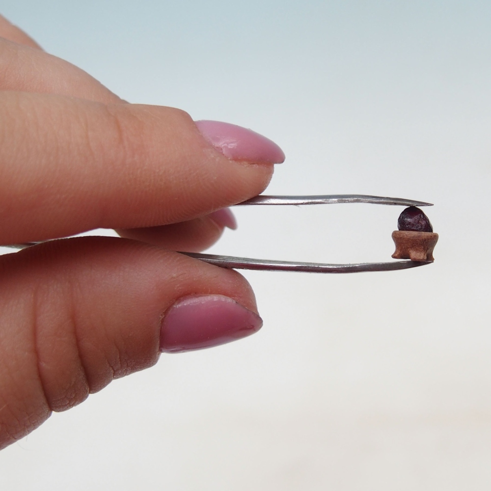 Suiseki - Piedra con DAI (base de madera)