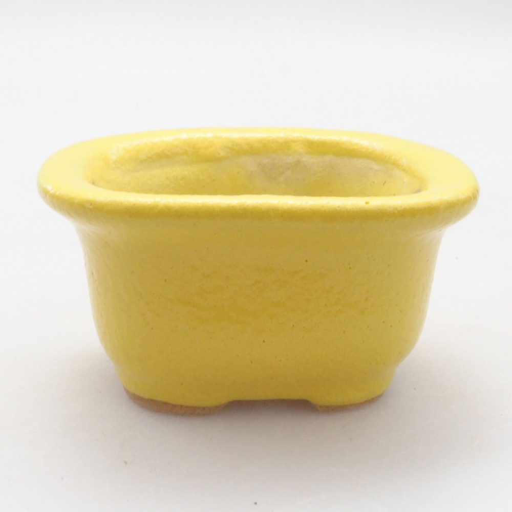 Cuenco bonsái de cerámica 5,5 x 4,5 x 3 cm, amarillo