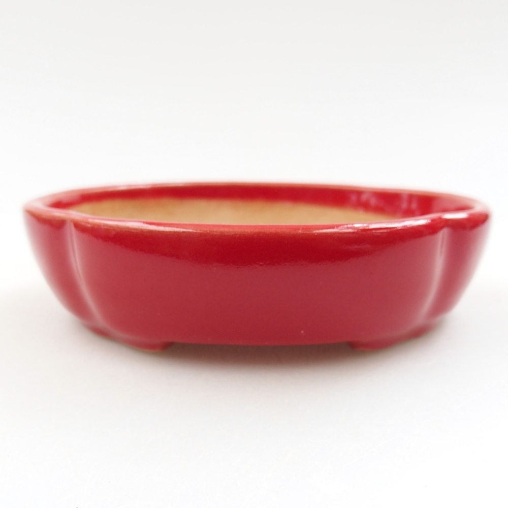 Cuenco bonsái de cerámica 22 x 17 x 5 cm, verde