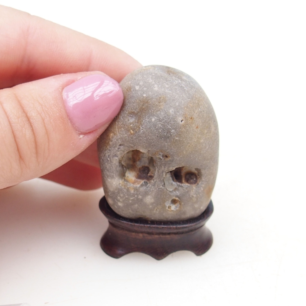 Suiseki - Piedra con DAI (base de madera)