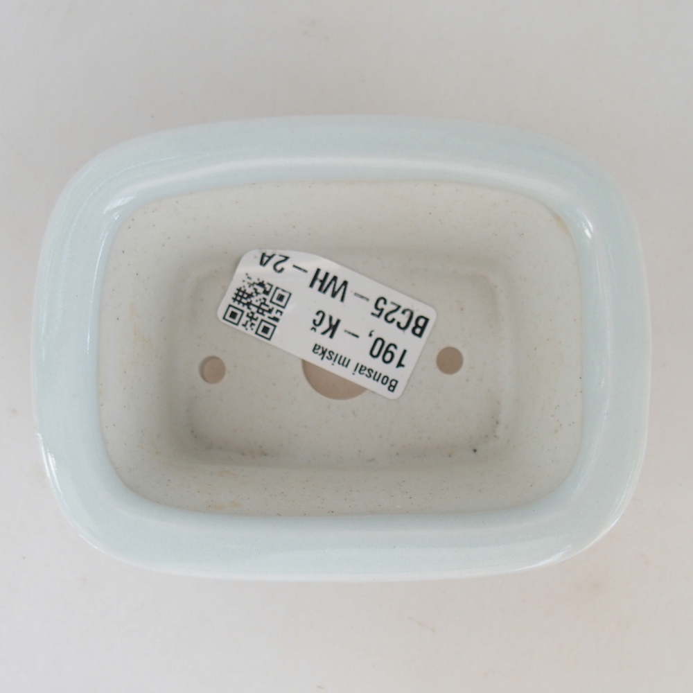 Cuenco mini bonsái 10 x 7,5 x 4 cm, color blanco