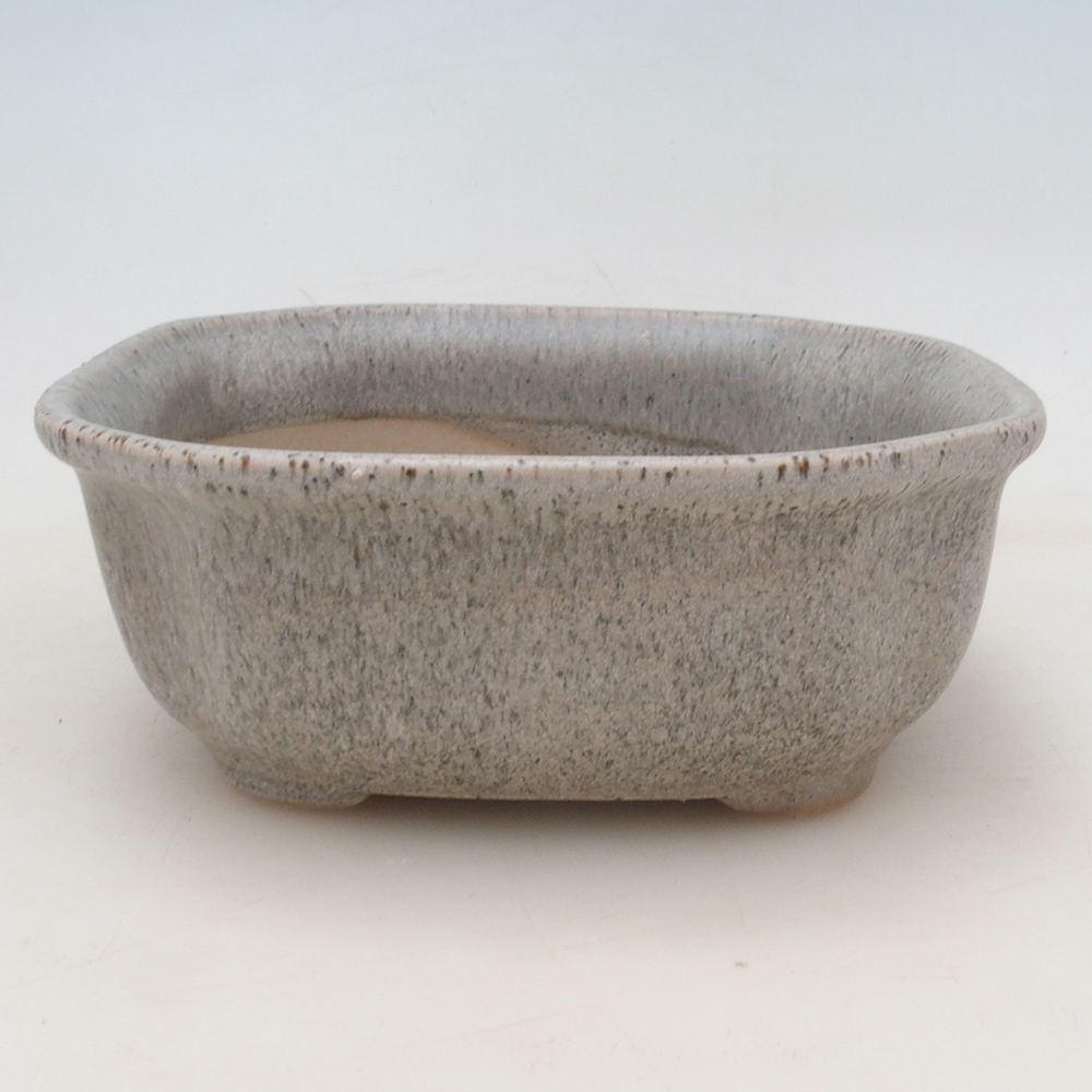 Bonsai cuenco + platillo H31 - beige