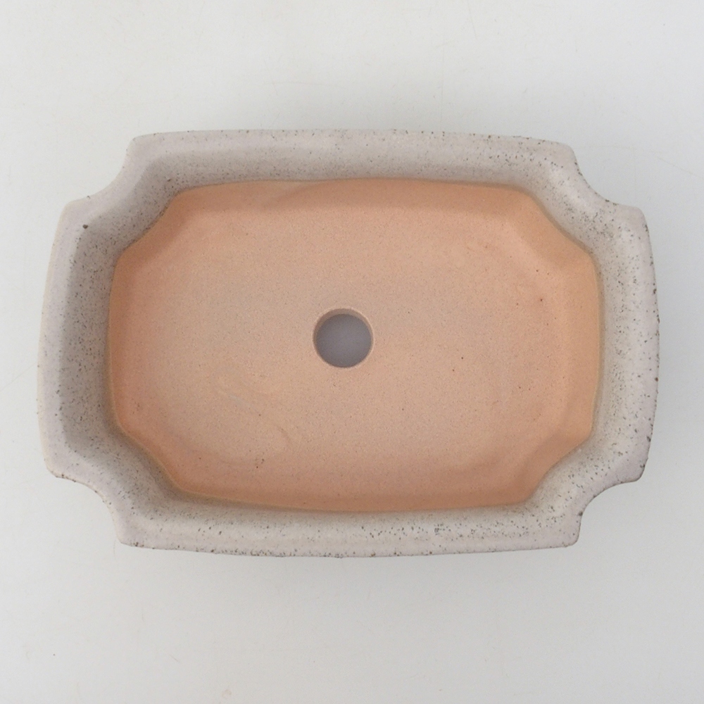 Cuenco bonsái H17 - 15 x 10 x 4 cm - beige