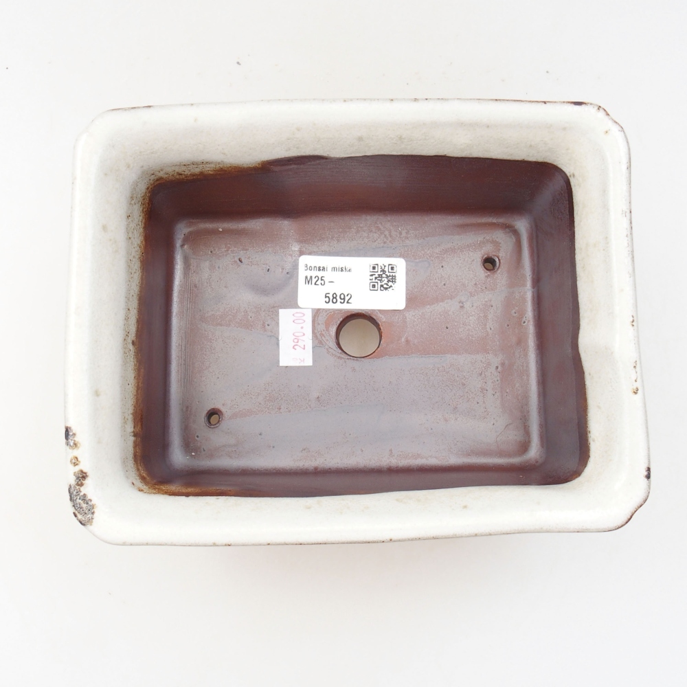 Cuenco bonsái de cerámica 22 x 17 x 5 cm, verde