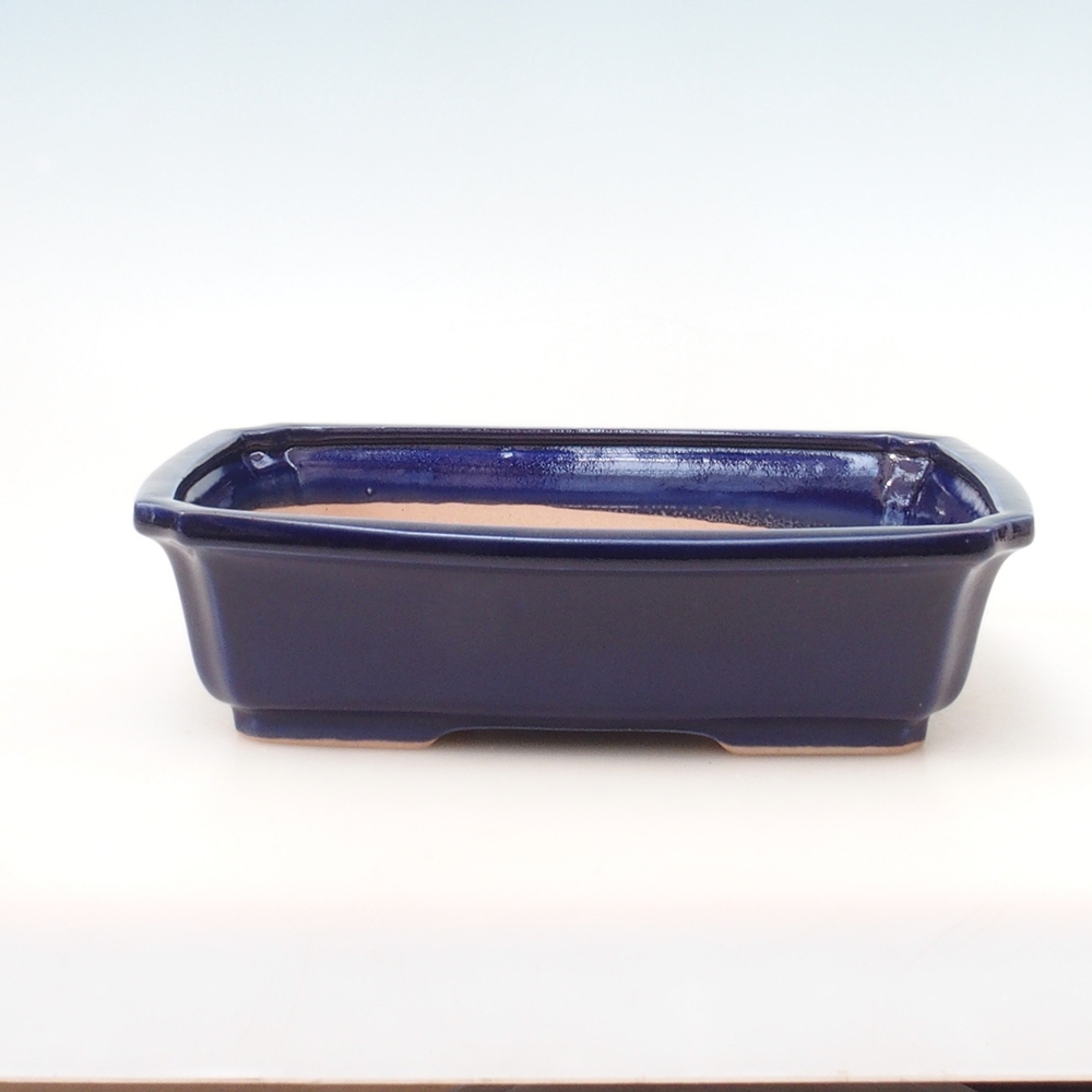 Cuenco bonsái + platillo H07 - 30 x 20,5 x 8 cm - azul