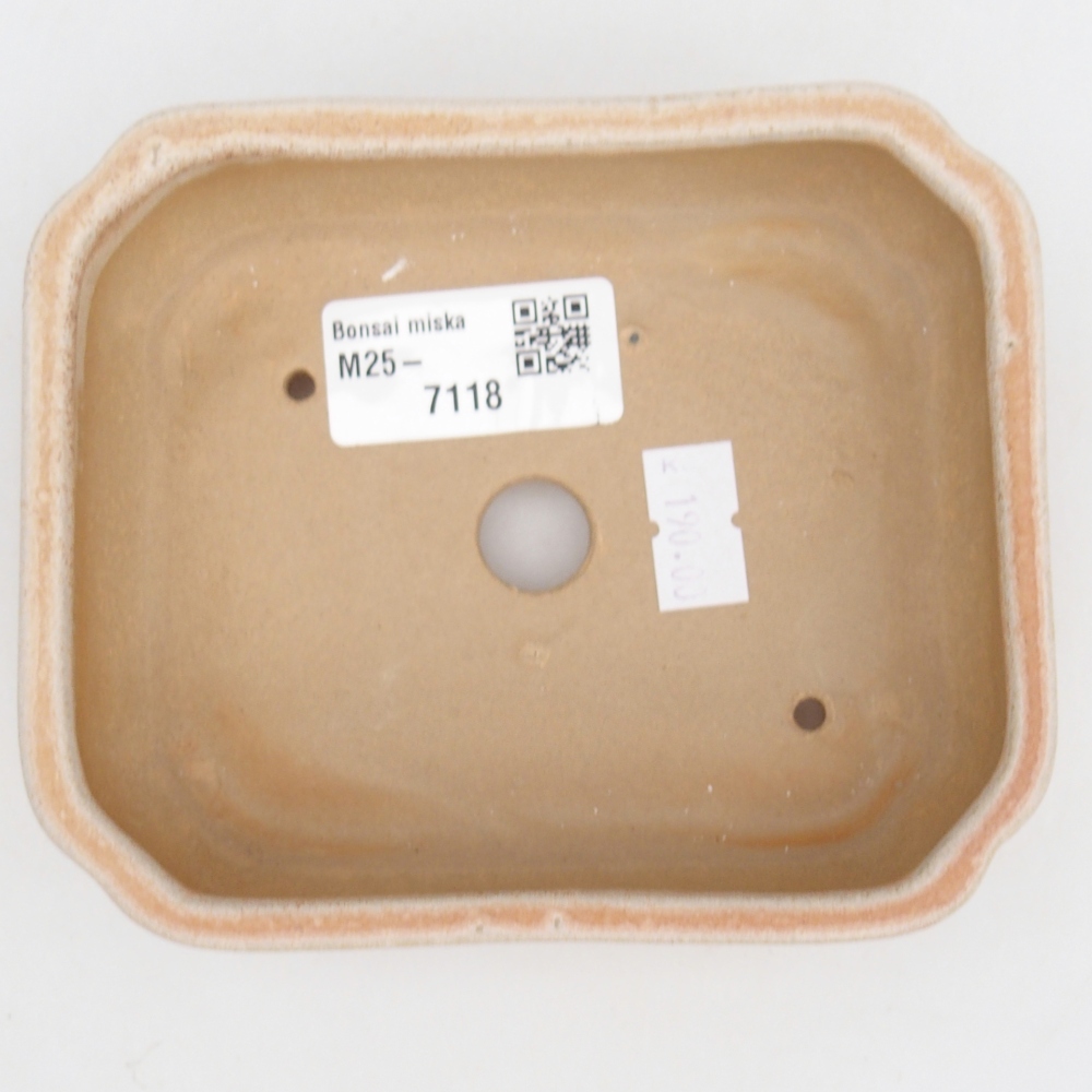 Cuenco bonsái de cerámica 12 x 10 x 4 cm, color beige