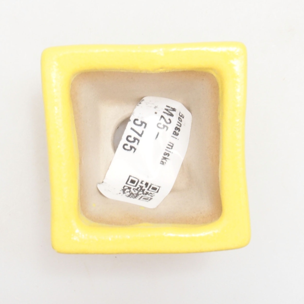 Cuenco bonsái de cerámica 5 x 5 x 3,5 cm, amarillo