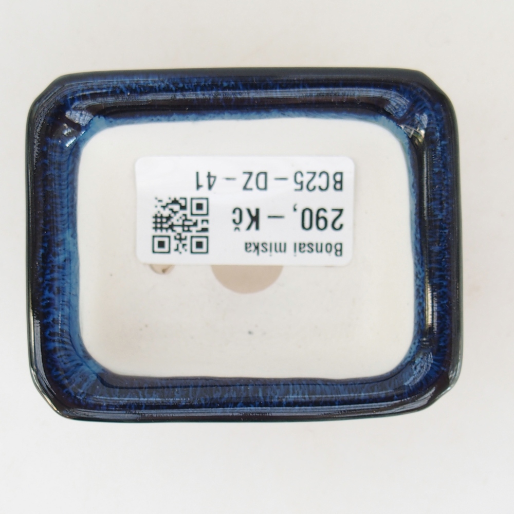 Mini cuenco bonsái 7 x 5,5 x 3 cm, color azul