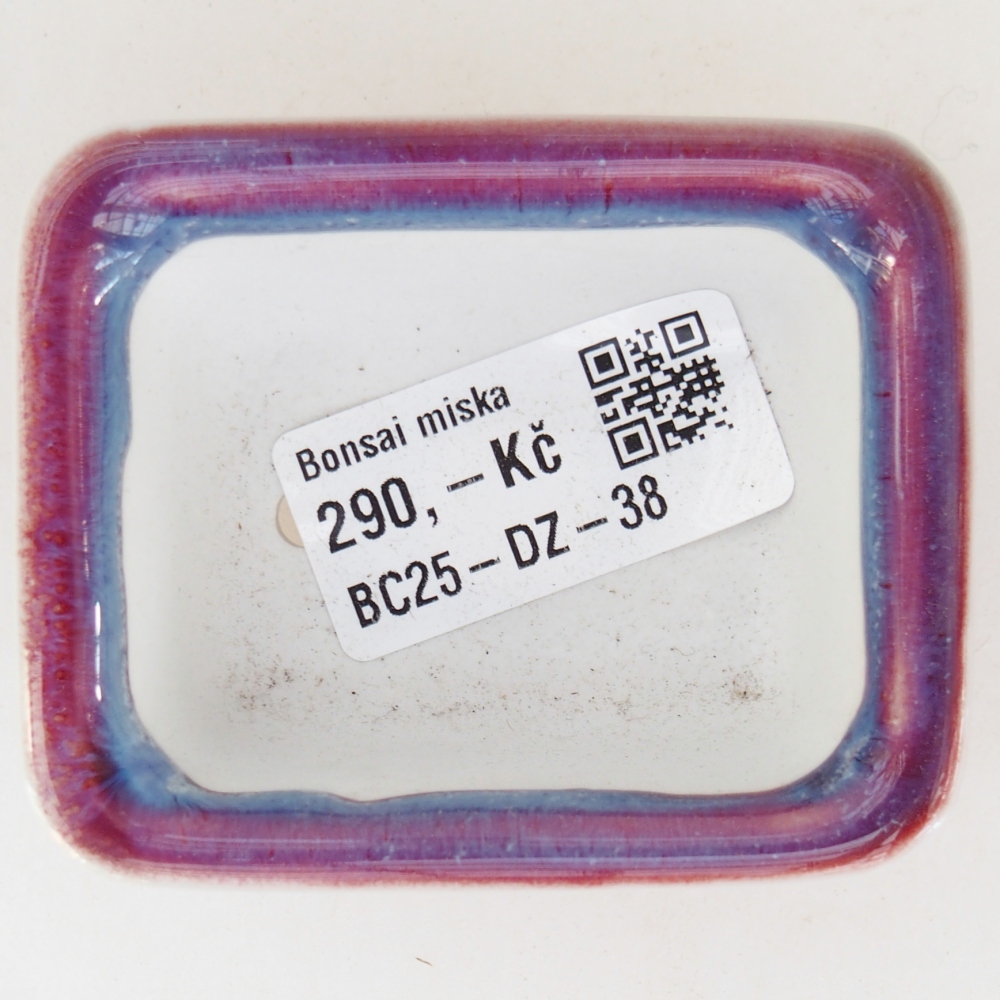 Mini cuenco bonsái 7 x 5,5 x 3 cm, color morado