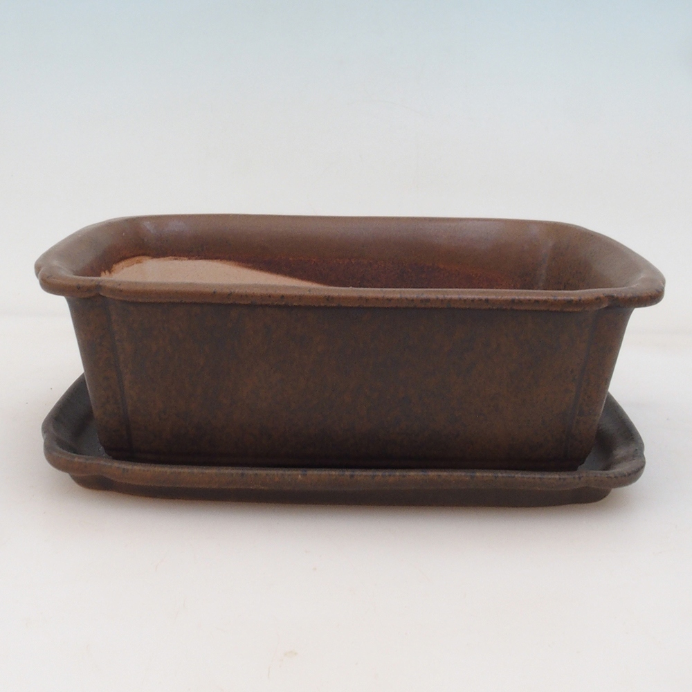 Cuenco bonsai + platillo H50 - marrón