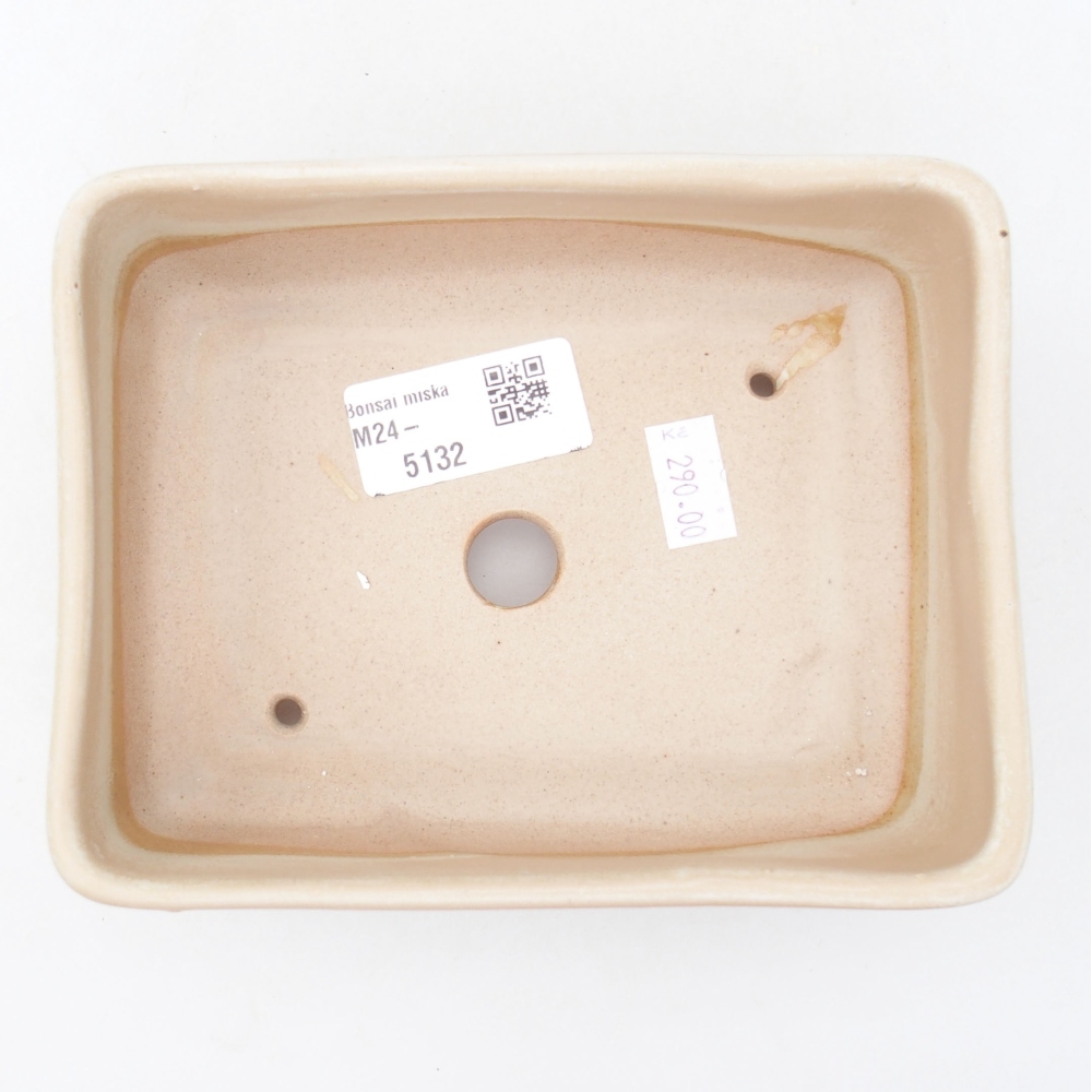 Cuenco bonsái de cerámica 15 x 11 x 5,5 cm, color beige
