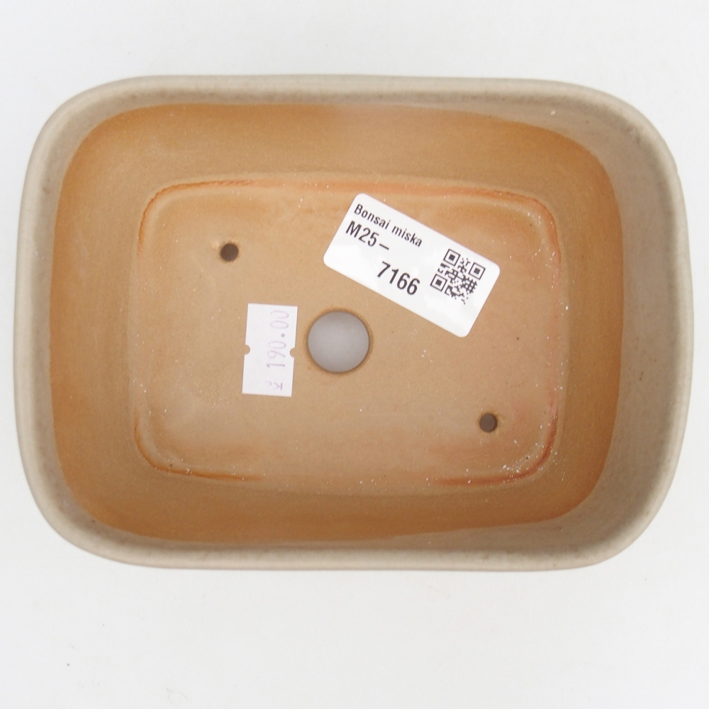 Cuenco bonsái de cerámica 13,5 x 10,5 x 6 cm, color beige