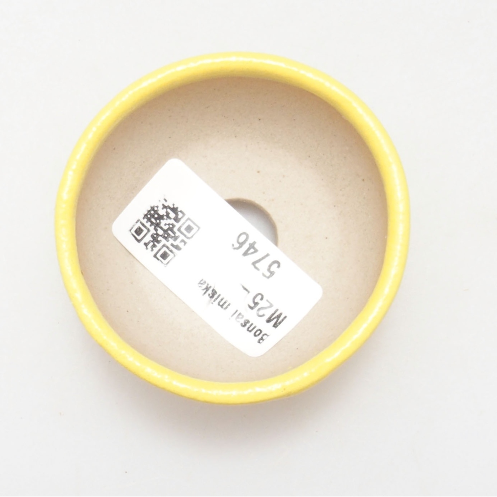 Cuenco bonsái de cerámica 6 x 6 x 2,5 cm, amarillo